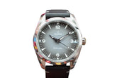 Omega Seamaster Railmaster 38 mm, Stahl mit Lederarmband 23512382006001
