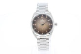 Omega Seamaster Railmaster 38 mm, Stahl mit Stahlarmband 23510382013001
