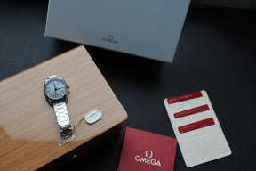 Omega Seamaster Aqua Terra 220.10.41.21.06.001 acier gris 41mm